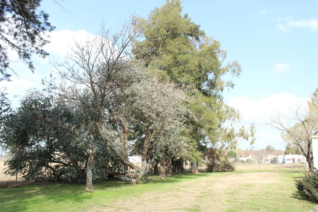 Hotel El Triunfo De Areco San Antonio de Areco Kültér fotó