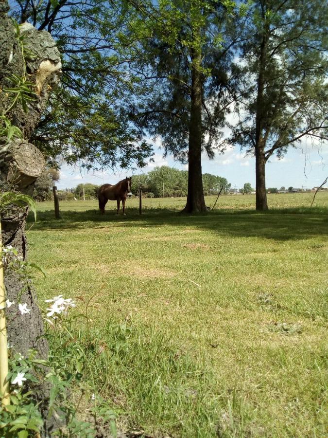 Hotel El Triunfo De Areco San Antonio de Areco Kültér fotó